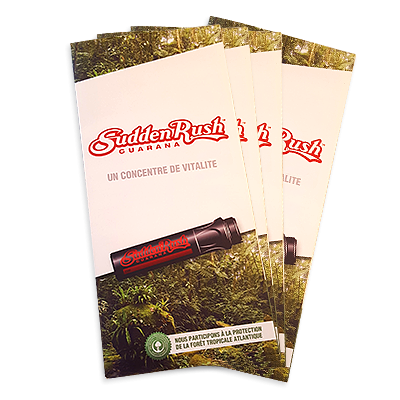 Dépliant 3 volets Suddenrush Guarana France