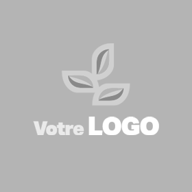 Option et service Kiyoi Animation de votre logo